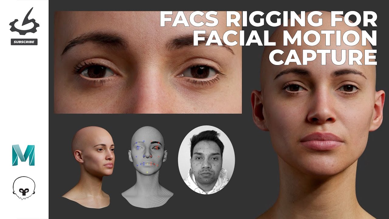 面部动作捕捉的FACS绑定Maya和Marmoset Toolbag工作流程