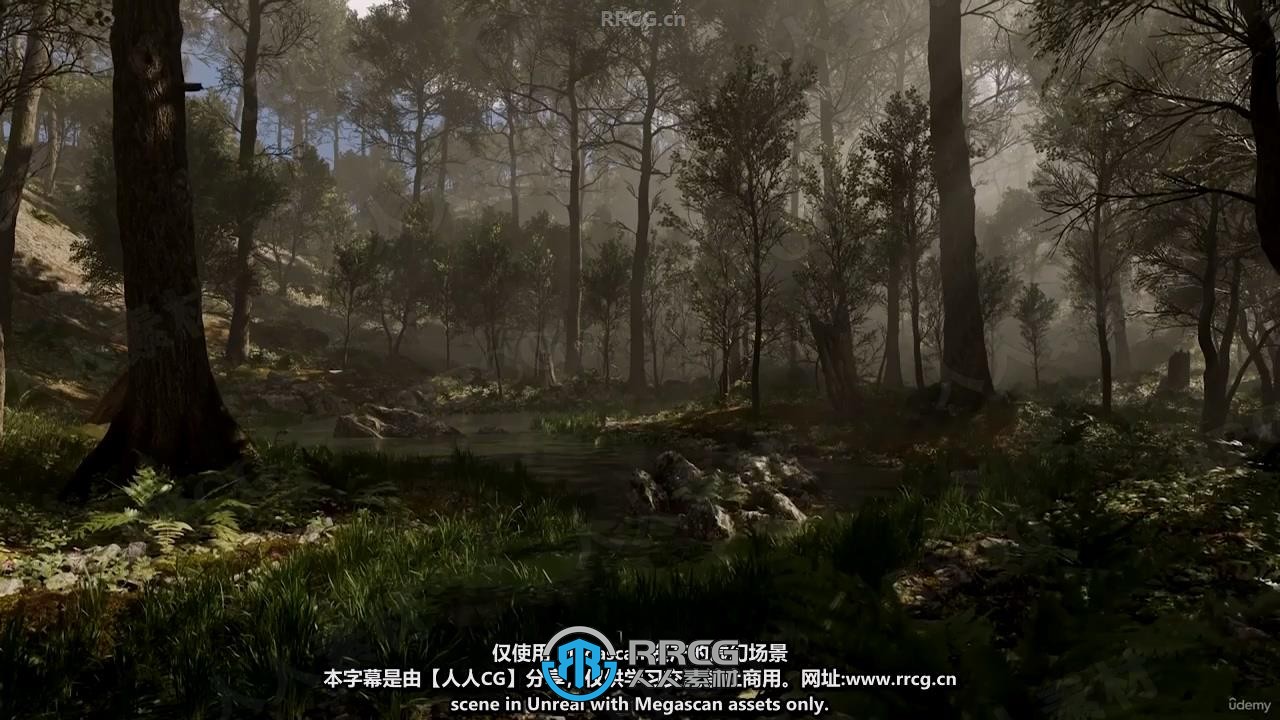 【中文字幕】UE5黑色森林自然环境场景制作流程视频教程