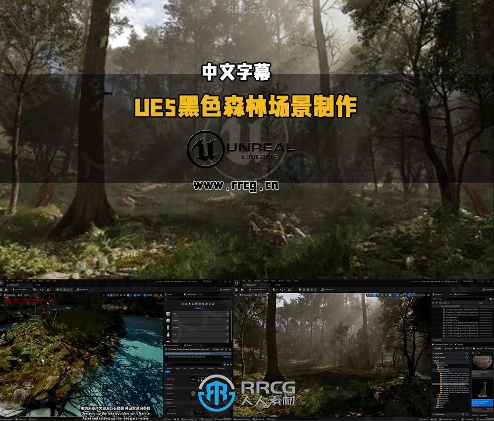 【中文字幕】UE5黑色森林自然环境场景制作流程视频教程