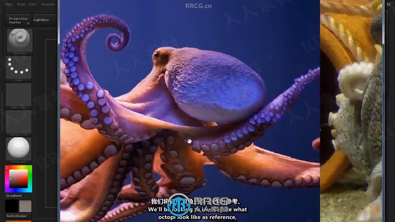 【中文字幕】Zbrush克苏鲁神话生物雕刻制作全流程视频教程