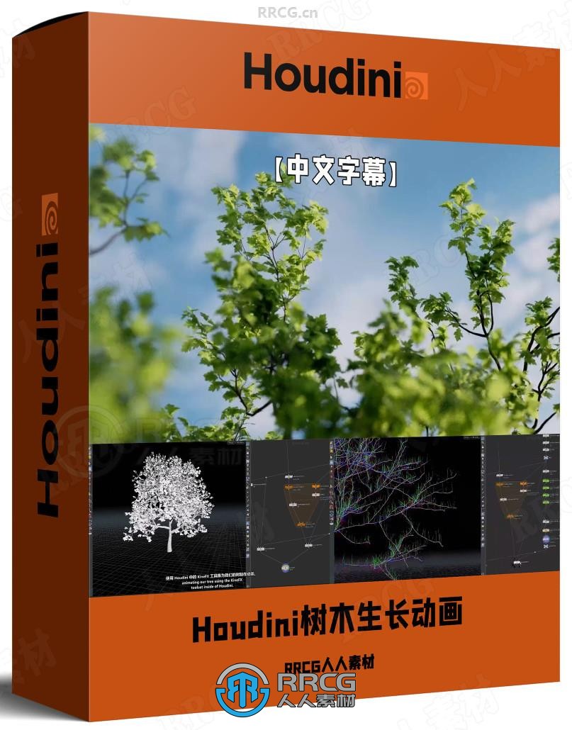 【中文字幕】Houdini中KineFX和Labs Tree Tools插件创建程序化树木生长动画视频教程