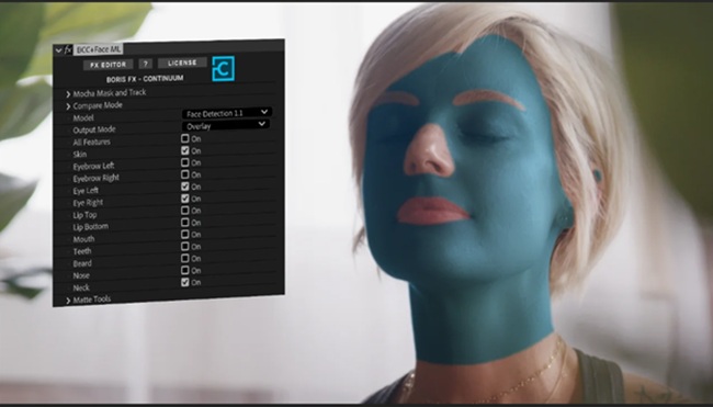 BorisFX Continuum 2026 AEX OFX AVX v 19.5.0 CE Win x64 软件资源 | BorisFX Continuum 2026 AEX OFX AVX v 19.5.0 CE Win x64
