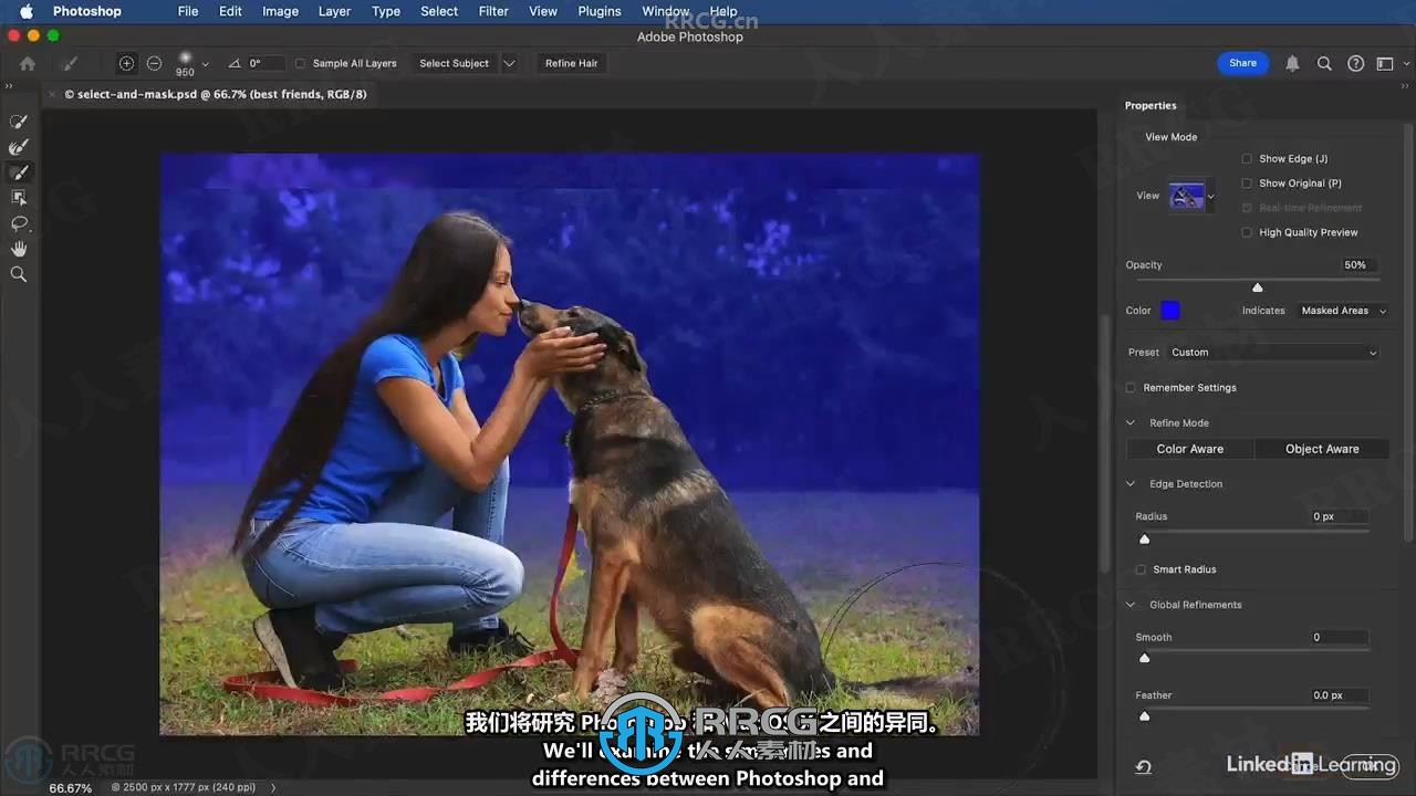 【中文字幕】Photoshop与Lightroom遮罩技术基础入门训练视频教程