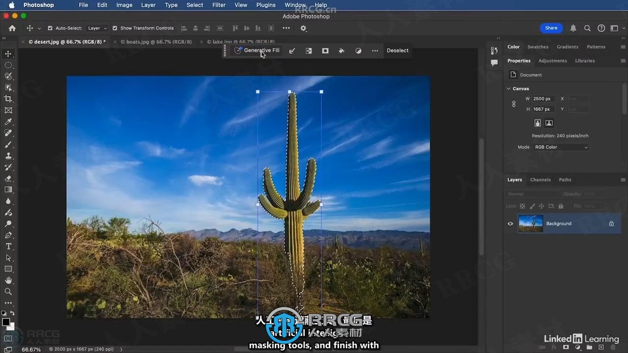 【中文字幕】Photoshop与Lightroom遮罩技术基础入门训练视频教程