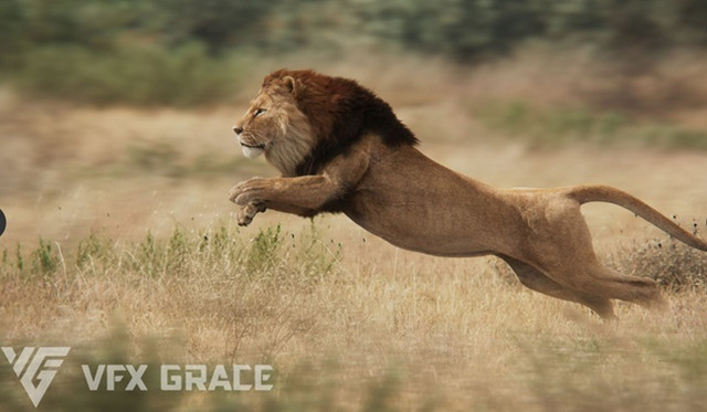Blender 教程资源 | VFX Grace Animal Pack 20