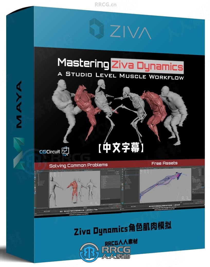 【中文字幕】Ziva Dynamics角色肌肉模拟核心技术视频教程