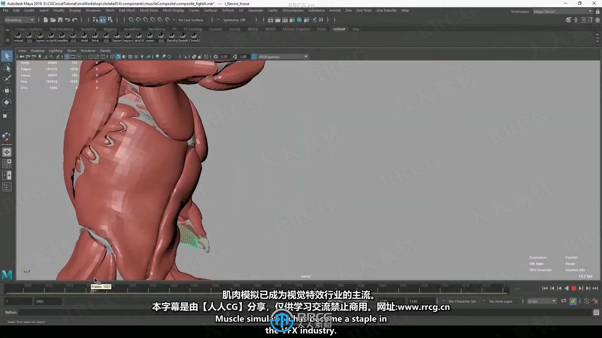 【中文字幕】Ziva Dynamics角色肌肉模拟核心技术视频教程