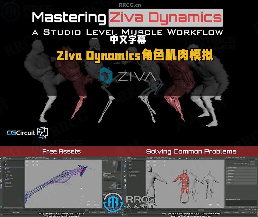 【中文字幕】Ziva Dynamics角色肌肉模拟核心技术视频教程