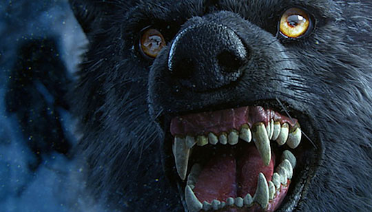 Peregrine Labs Yeti 5.2.4 Maya 2024 - 2026 Win 软件资源 | Peregrine Labs Yeti 5.2.4 Maya 2024 - 2026 Win