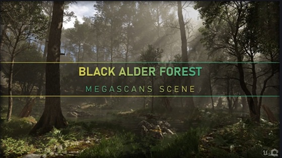 Megascans Scene - Black Alder Forest 素材资源 | Udemy - Megascans Scene - Black Alder Forest