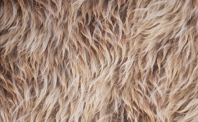 Levelup.Digital - Creating a Smart Fur Material QiYuDai 素材资源 | Levelup.Digital - Creating a Smart Fur Material QiYuDai