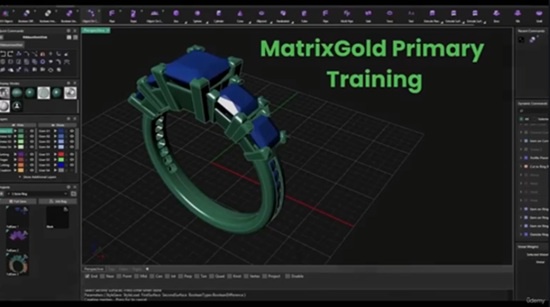 MatrixGold Primary Foundation Training 教程资源 | Udemy - MatrixGold Primary Foundation Training