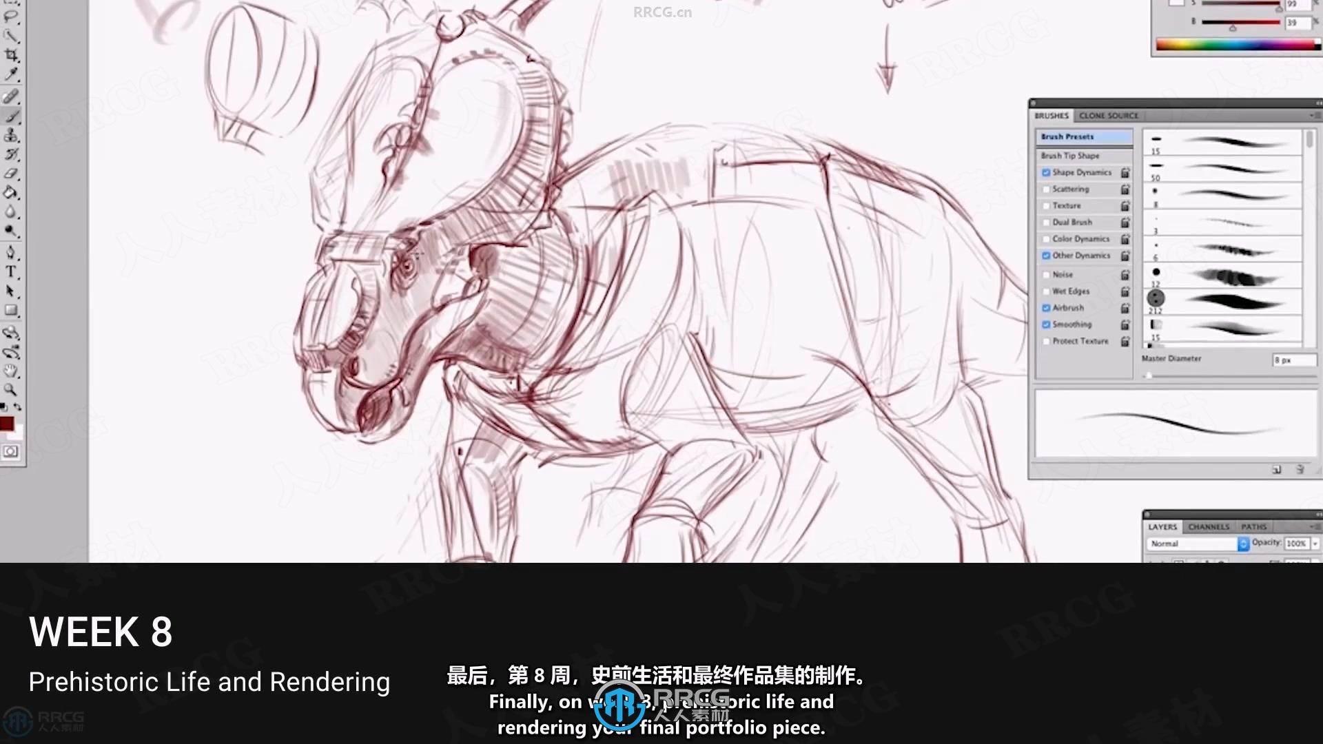 【中文字幕】动物结构形态解剖学绘画核心技术视频教程