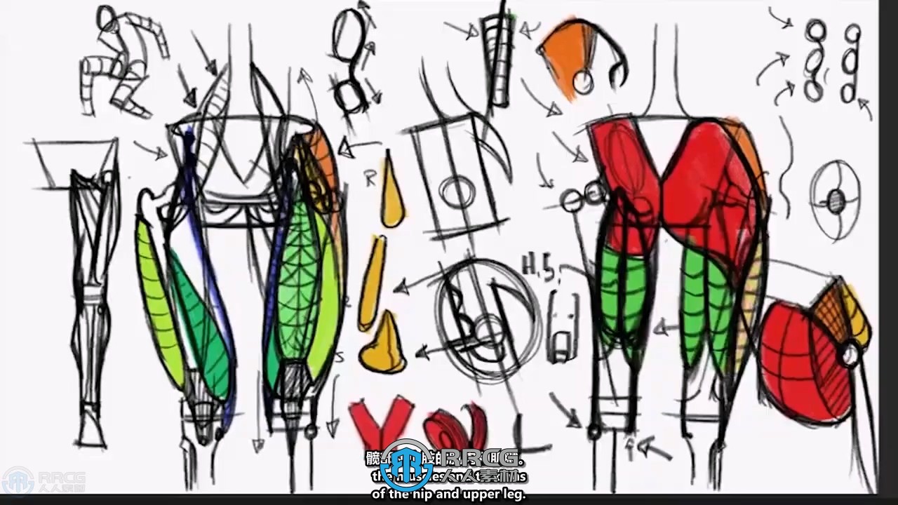 【中文字幕】人体结构形态解剖学绘画核心技术视频教程