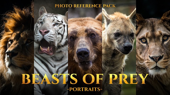 Reference Pack Collection 2 June 2022 教程资源 | Artstation - Reference Pack Collection 2 June 2022