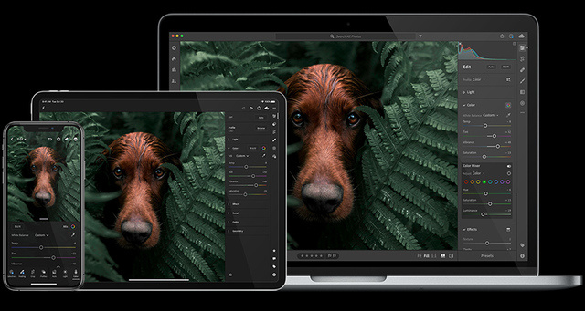 Adobe Photoshop Lightroom 4.4 Win x64 软件资源 | Adobe Photoshop Lightroom 4.4 Win x64