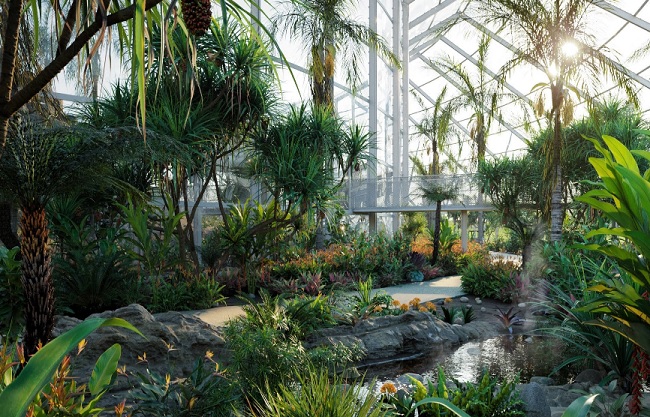 Blender 教程资源 | Globe Plants - Bundle14 - Tropical Garden 02