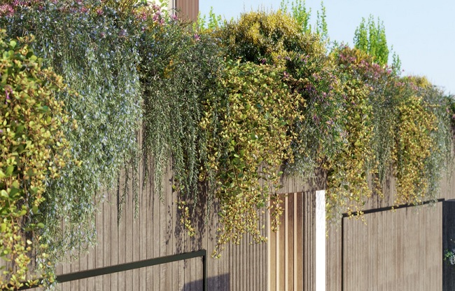 Globe Plants - Bundle02 - Vines And Creepers 软件资源 | Globe Plants - Bundle02 - Vines And Creepers